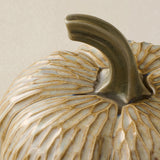 Close-up details of the one-of-a-kind pumpkin.