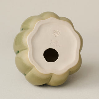 Pumpkin Duo, Silver Sage