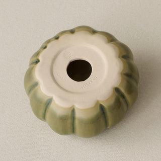 Pumpkin Duo, Silver Sage